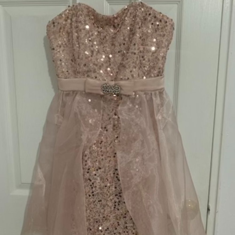 Rose Gold Sequin Mini Dress